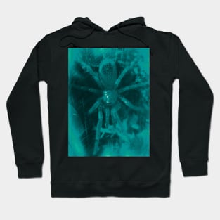 Tarantula Spiderling V8 Hoodie